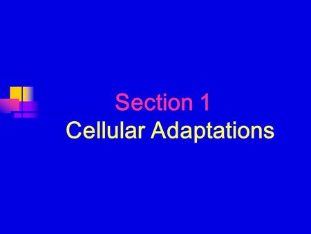 Section 1 Cellular Adaptations