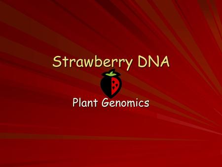 Strawberry DNA Plant Genomics. Genomics – The study of DNA Plant chromosomal DNA Chromosome number Plant genes Plant reproduction Plant gene expression.