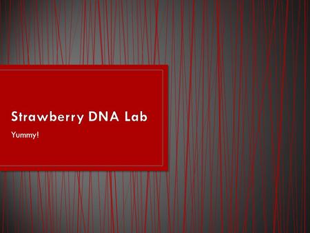 Yummy!. The long, thick fibers of DNA store the information for the functioning of the chemistry of life. DNA is in every cell of plants and animals.