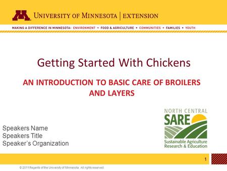 Getting Started With Chickens