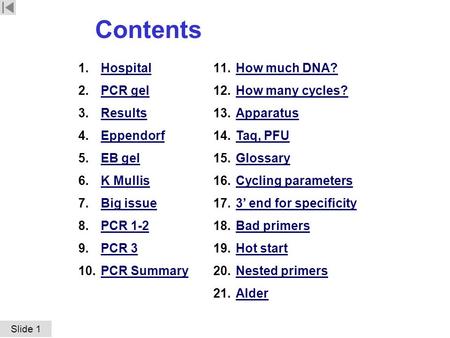 Contents Hospital PCR gel Results Eppendorf EB gel K Mullis Big issue