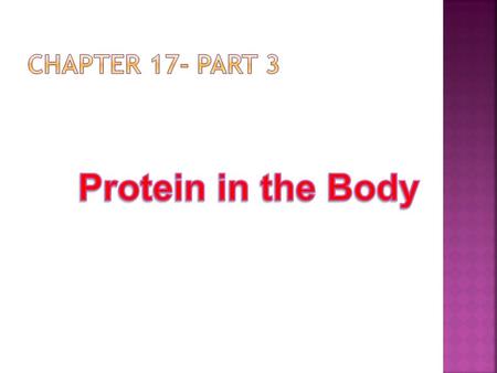 Digestion – proteins are denatured by hydrochloric acid in the stomach Body creates all of its proteins from 20 different amino acids.