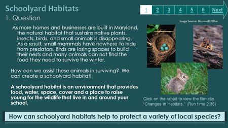 1. Question As more homes and businesses are built in Maryland, the natural habitat that sustains native plants, insects, birds, and small animals is disappearing.