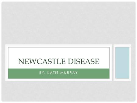 BY: KATIE MURRAY NEWCASTLE DISEASE. CAUSES/ORIGIN Newcastle disease, also known as Avian Distemper or Velogenic Viscerotropic Newcastle Disease is caused.