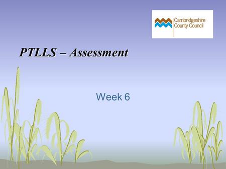 PTLLS – Assessment Week 6. In today’s session we will: Discuss the purpose of assessment Explore types of assessment Examine the application of ‘paper-light’