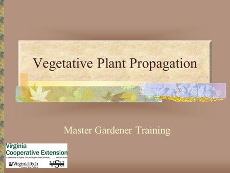 Vegetative Plant Propagation