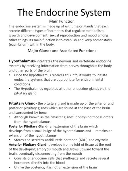 The Endocrine System Major Glands and Associated Functions Hypothalamus- integrates the nervous and vertebrate endocrine systems by receiving information.