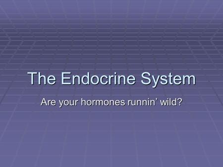 The Endocrine System Are your hormones runnin’ wild?