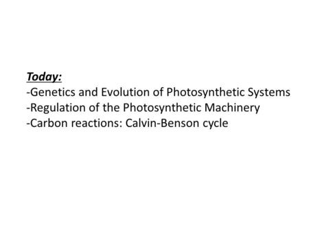 Today: -Genetics and Evolution of Photosynthetic Systems -Regulation of the Photosynthetic Machinery -Carbon reactions: Calvin-Benson cycle.