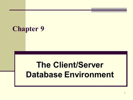 The Client/Server Database Environment