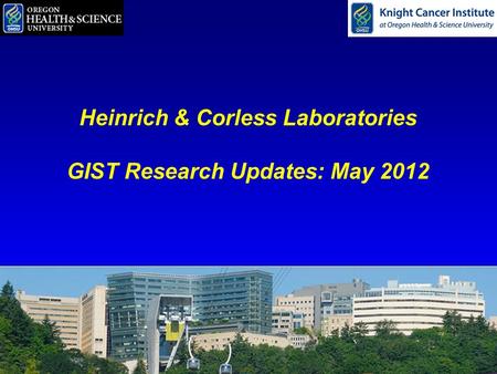 Heinrich & Corless Laboratories GIST Research Updates: May 2012.