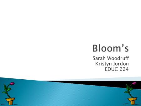 Sarah Woodruff Kristyn Jordon EDUC 224  Kristyn hypothesis was comprehension: Because looking over the standards, I viewed that there were a lot.