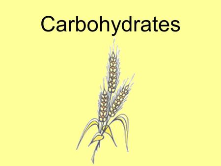 Carbohydrates.