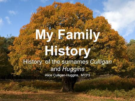 My Family History History of the surnames Culligan and Huggins