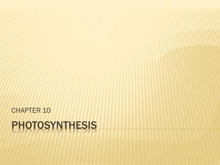 CHAPTER 10.  stomata – pores in lower epidermis of leaf  gas exchange  mesophyll – inner-leaf tissue  most chloroplasts located in these cells  veins.