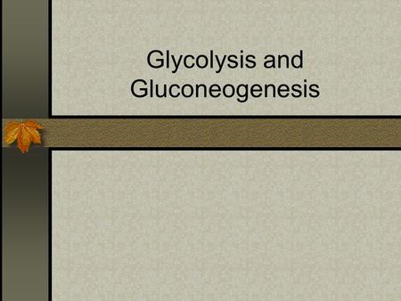 Glycolysis and Gluconeogenesis