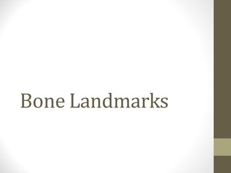 Bone Landmarks. Landmarks of the Scapula Inferior Angle Superior Angle Vertebral (Medial) Border Axillary (Lateral) Border Spine of the Scapula Acromion.