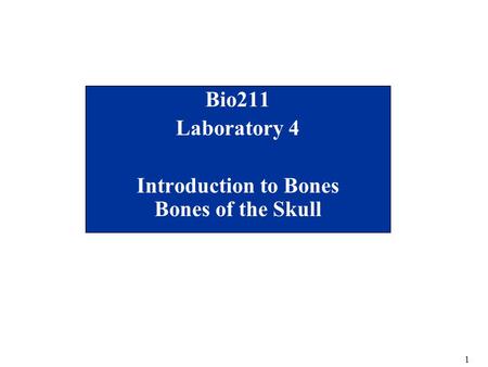 1 Bio211 Laboratory 4 Introduction to Bones Bones of the Skull.