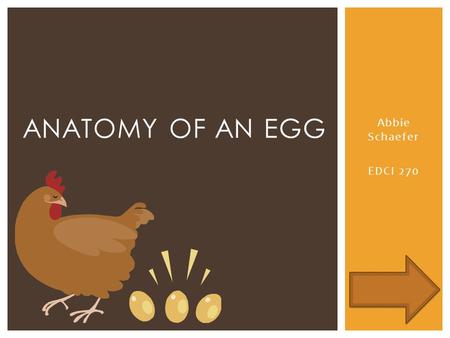 Abbie Schaefer EDCI 270 ANATOMY OF AN EGG.  To advance to the next slide…  To go back to the last slide…  To go to the home page (Anatomy of an egg.