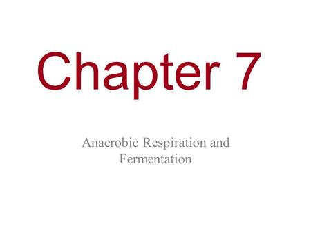 Anaerobic Respiration and Fermentation