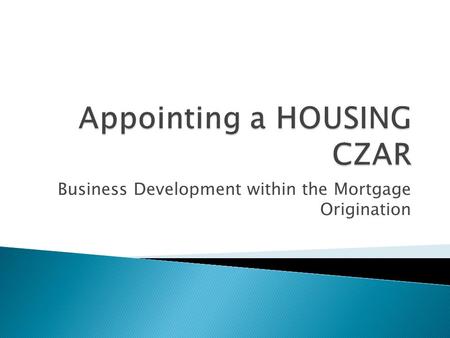 Business Development within the Mortgage Origination.