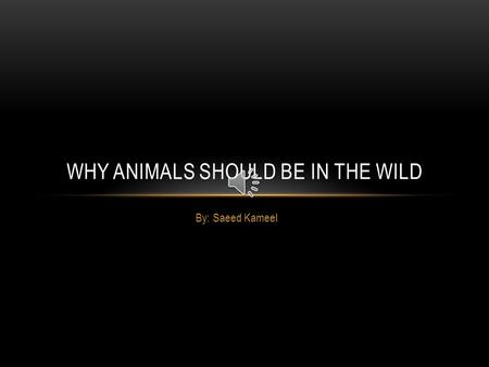 By: Saeed Kameel WHY ANIMALS SHOULD BE IN THE WILD.