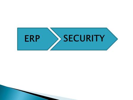 SECURITY ERP.