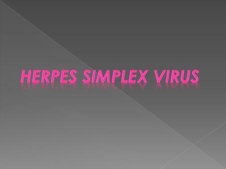 Type 1 is responsible for most nongenital infections Type 2 HSV is recovered almost exclusively from the genital tract.