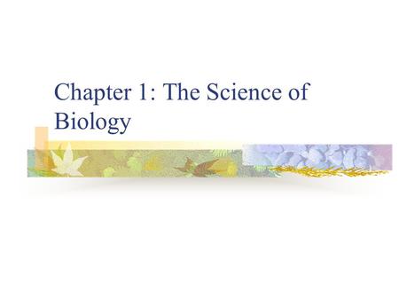 Chapter 1: The Science of Biology