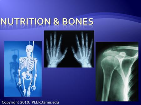 Copyright 2010. PEER.tamu.edu.  Protein  Fat  Carbohydrates  Minerals  Calcium  Phosphorous  Magnesium  Vitamins  Vitamin D.