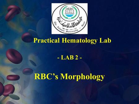 Practical Hematology Lab