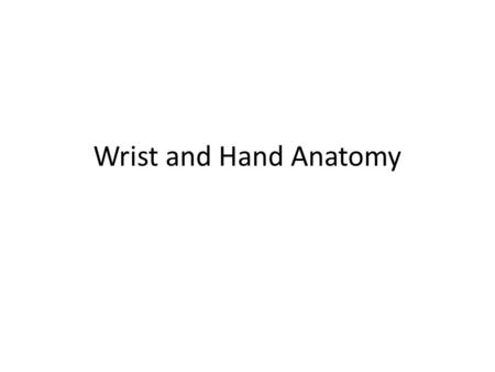 Wrist and Hand Anatomy.