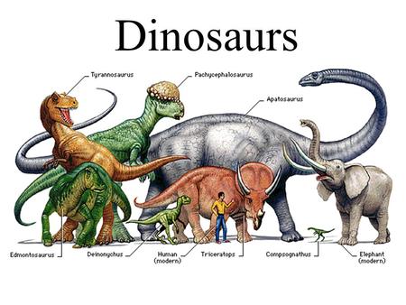 Dinosaurs.