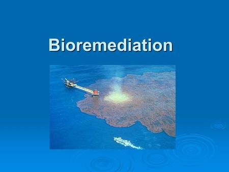 Bioremediation.