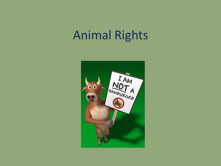 Animal Rights.