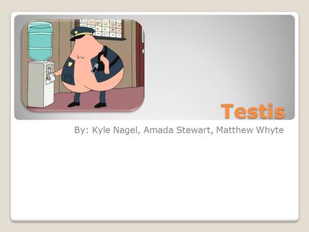 Testis By: Kyle Nagel, Amada Stewart, Matthew Whyte.