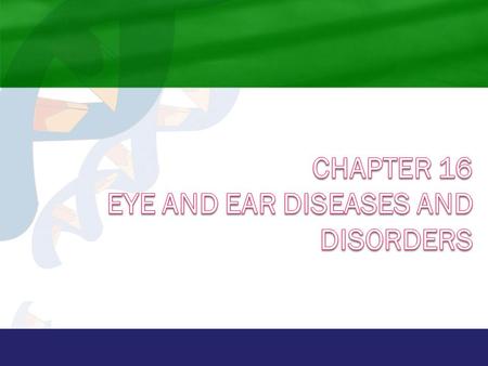 Anatomy and Physiology  Eye Sensory organ located in the orbit of the skull Components ○ Sclera, cornea, iris, pupil ○ Anterior chamber, posterior chamber.