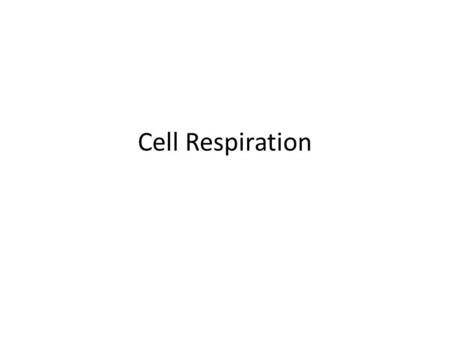 Cell Respiration.