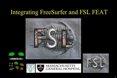 Integrating FreeSurfer and FSL FEAT