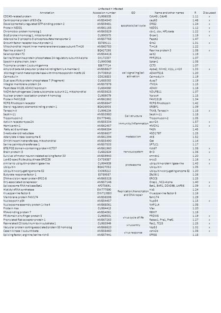 Unfected > Infected AnnotationAccession numberGOName and other namesRDiscussed CDC45-related proteinCU986535 apoptosis/cell cycle Cdc45l, Cdc451.11x Centrosomal.