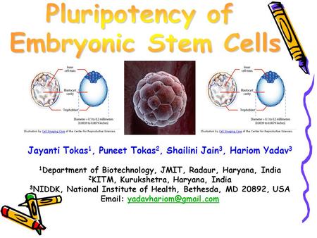 Jayanti Tokas 1, Puneet Tokas 2, Shailini Jain 3, Hariom Yadav 3 1 Department of Biotechnology, JMIT, Radaur, Haryana, India 2 KITM, Kurukshetra, Haryana,