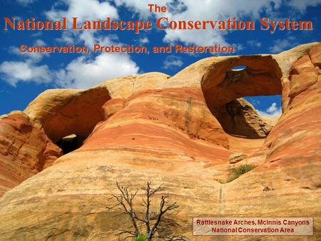 National Landscape Conservation System The Conservation, Protection, and Restoration Rattlesnake Arches, McInnis Canyons National Conservation Area.