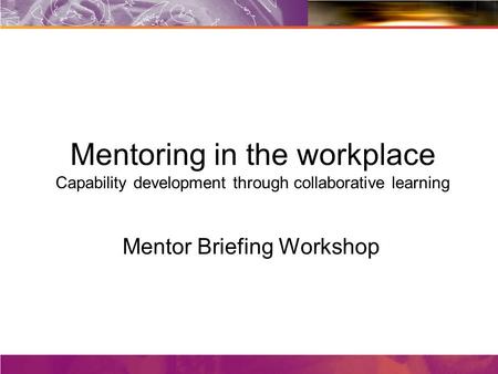 Mentor Briefing Workshop