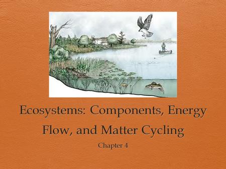 What is Ecology?  How organisms interact with one another and with their nonliving environment  Study of CONNECTIONS.