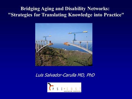 Bridging Aging and Disability Networks: Strategies for Translating Knowledge into Practice Luis Salvador-Carulla MD, PhD.