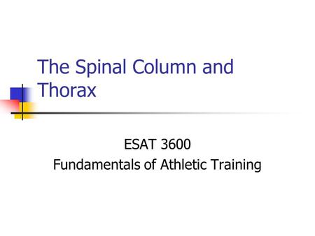 The Spinal Column and Thorax