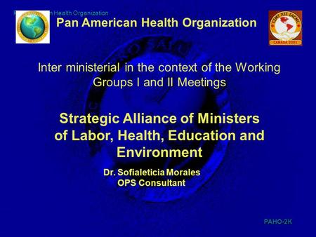 PAHO-2K 048TEN2K 1 Pan American Health Organization Inter ministerial in the context of the Working Groups I and II Meetings Pan American Health Organization.