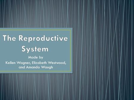 The Reproductive System