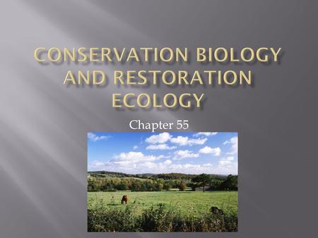 Conservation Biology and Restoration Ecology