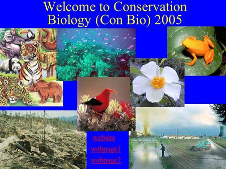 Welcome to Conservation Biology (Con Bio) 2005 website webpage1 webpage2.